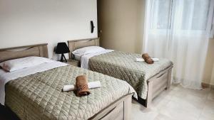 CORFU ALINAS APARTMENTS