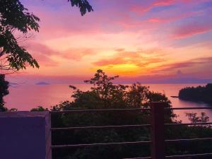 ISLA tress Bonita Wellness Escape Island