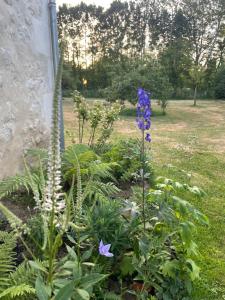 Sejours chez l'habitant Domaine de La Vove : photos des chambres