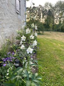 Sejours chez l'habitant Domaine de La Vove : photos des chambres