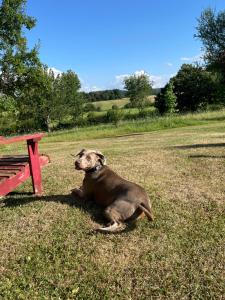 Sejours chez l'habitant Domaine de La Vove : photos des chambres