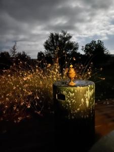 Sejours chez l'habitant Domaine de La Vove : photos des chambres