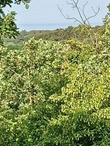 Lovely Apartment Piantade