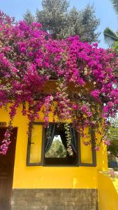 Bao Dien Hotel Garden