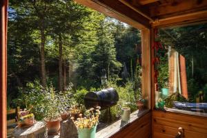 BOG Budas del Bosque