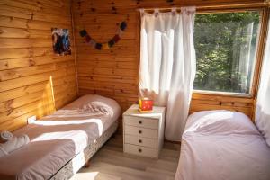 BOG Budas del Bosque