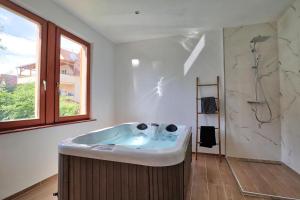 Appartements Ab gite et spa : photos des chambres