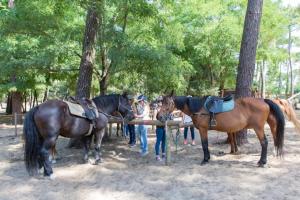 Campings Camping Officiel Siblu La Pignade : photos des chambres