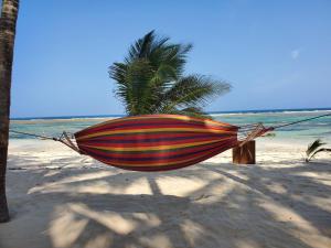 2 Bed House - Sleeps 3 - Pool - Garden - Parking