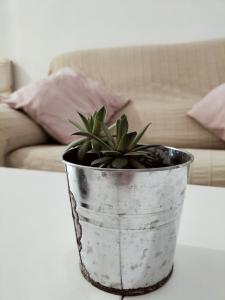 Apartamento Conil Gades Nömada B