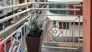 FilinHome Pelagica Suite