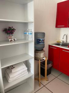 DEPARTAMENTOS ANAHUAC