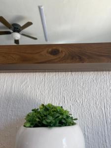 DEPARTAMENTOS ANAHUAC