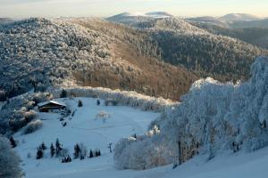 B&B / Chambres d'hotes Le Nid Douillet : photos des chambres