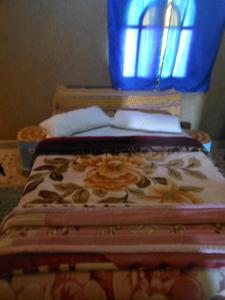 Riad Aicha & Camel Trekking