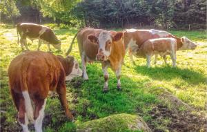 One-Bedroom Holiday Home In Roke