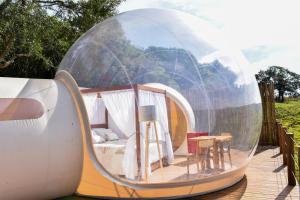 Bubble Pingo do Mula Serra da Canastra