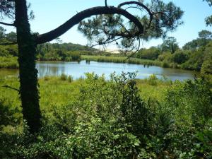 Appartements à côté Lac Marin de Port dAlbret
