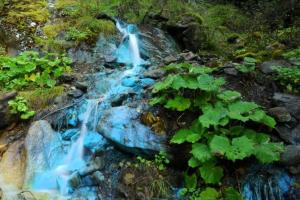 Alloggio immerso nella natura