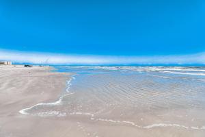 Sun-drenched on Sundew