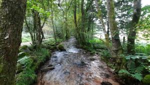 Maisons de vacances GITE DES 3 JONQUILLES : photos des chambres