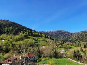 Maisons de vacances GITE DES 3 JONQUILLES : photos des chambres