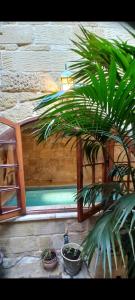 Il Mithna farmhouse with indoor heated jacuzzi pool