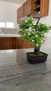 Moderno Departamento Paseo la Cortadura en Tampico