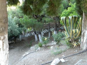 Hotel Glicorisa Beach