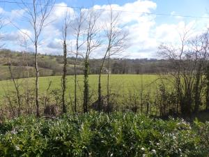 Le Domaine des Tostes