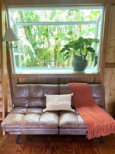 PELES SHALA - Sweet Seaview Sanctuary near Ocean, Beach, and Kalani!