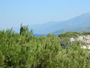 Hotel Glicorisa Beach Samos Greece