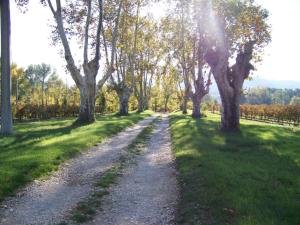 Le Leyrac photo 6