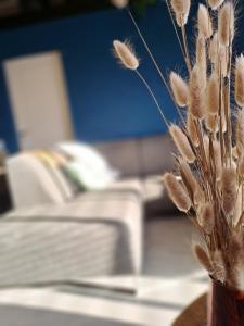 Villa the Tulip JACK