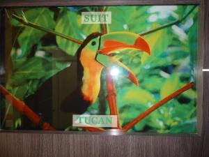 Hotel Joya de la Selva