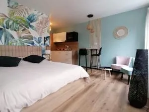 Studio neuf - parking - 3 Epis proche Turckheim - 特鲁瓦埃皮