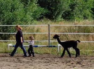 Ferienhof-Störwiese