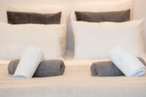 Alpin Mimosa 5 min vieille ville