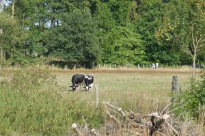 Maisons d'hotes Chez Therese et Marguerite : photos des chambres