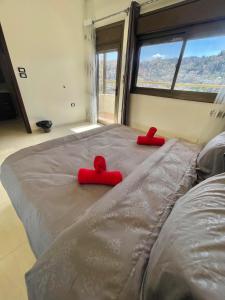 Villa Mira GuestHouse 2 - Downtown Central Amman - AL DIYRIH