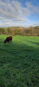 Maisons de vacances Le Cocon Beaujolais : photos des chambres