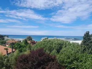 Apartments Eva - Zambratija