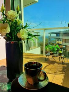 dhouse z widokiem na morze