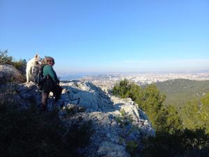 Appartements Gite Le Logis Vallat Bas : photos des chambres