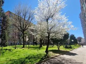 Giardino sul Naviglio - Boffalora