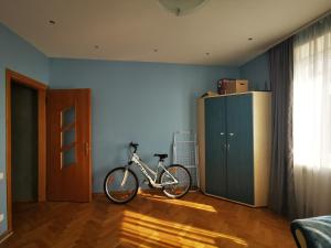 Spacious Apartment with free parking in Kaunas