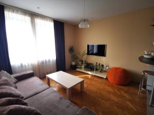Spacious Apartment with free parking in Kaunas