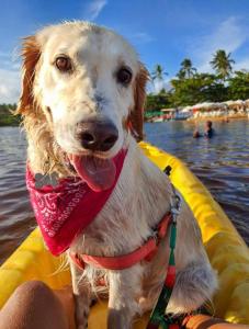 Casa no coração de Praia do Forte