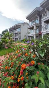 Nokta Belcekız Suit Apart, Fethiye, Ölüdeniz