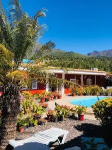 Catalino I - La Rosa